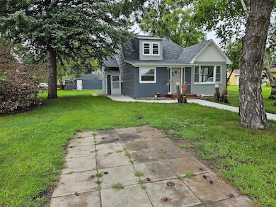 1410 Jefferson St, Alexandria, MN 56308 - photo 4