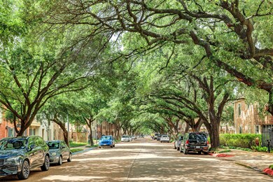 The tree-lined boulevard greets visitors with a we