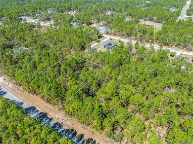 5783 W Cisco St, Beverly Hills, FL 34465 - photo 6