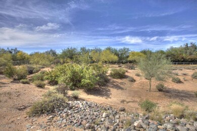 Back Natural Desert