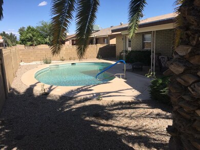 3a Backyard1