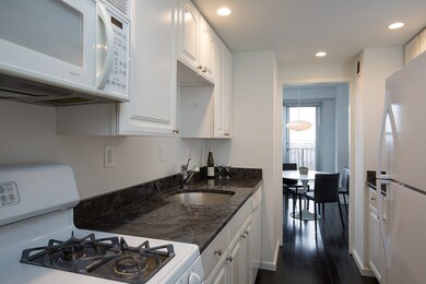 Tremont on the Common unit 16F, Boston, MA 02111 - photo 4