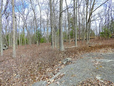 Lot #108 Blue Heron Way, Hawley, PA 18428 - photo 7