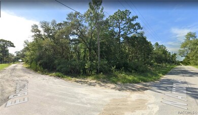 288 E Brandon St, Hernando, FL 34442 - photo 2