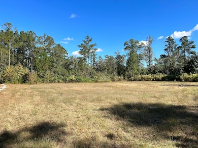 2000 Oak Hill Rd, Eastover, SC 29044 - photo 2