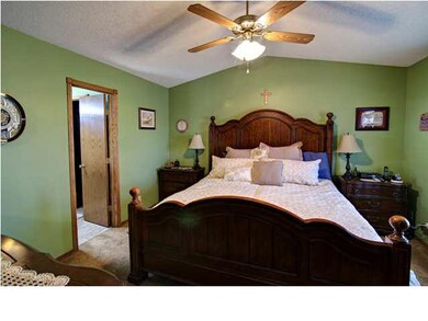 Vaulted Master Bedroom