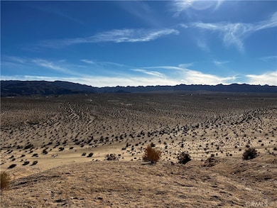 5055 Shoshone Valley Rd, Twentynine Palms, CA 92277 - photo 3