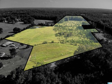 0 New Harmony Rd unit 35 acres +/-, Clanton, AL 35045 - photo 2