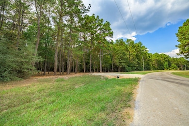 17526 E Terrace Oaks Dr, Waller, TX 77484 - photo 2