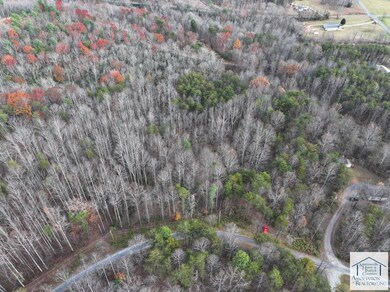 0 Pine Knoll Farms unit 145573, Stuart, VA 24171 - photo 6