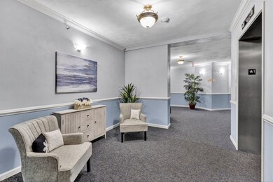 07-DSC3775