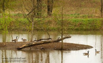 Lot 27 Tara Pkwy, Mount Zion, IL 62549 - photo 3