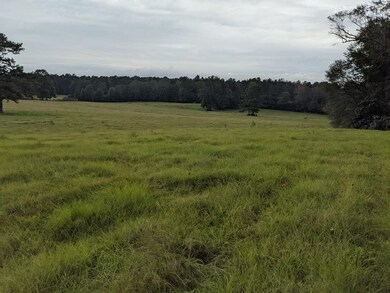 000 Conerly Dr, McComb, MS 39648 - photo 2