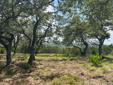 189 Cordillera Ridge, Boerne, TX 78006 - photo 5