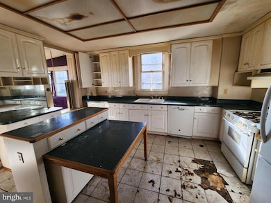 3701 Elm Ave, Baltimore, MD 21211 - photo 7