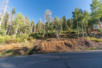 1037 Snow Crest Rd, Alpine Meadows, CA 96146 - photo 3