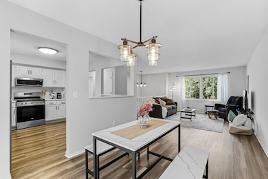 12357 Magnolia St NW, Coon Rapids, MN 55448 - photo 7