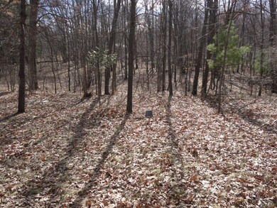 5185 E 96th St, Newaygo, MI 49337 - photo 4