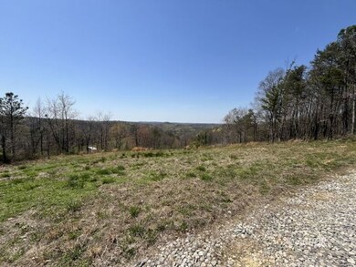 View from Drive