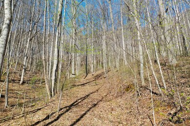 1,2 & 3 Top Drop Ln, Sylva, NC 28779 - photo 4