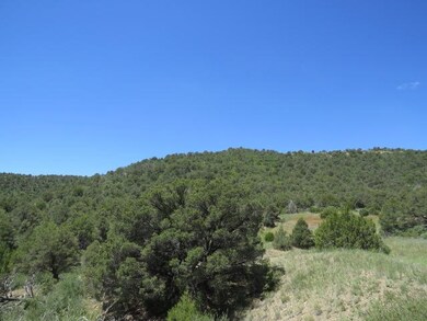 IMG_8071