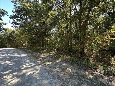 0 N St Francois Rd unit MIS25063814, Bonne Terre, MO 63628 - photo 3