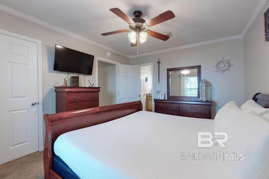 Bedroom featuring carpet flooring, ornamental molding, and a ceiling fan