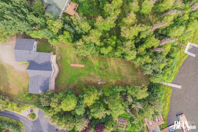 birds eye view