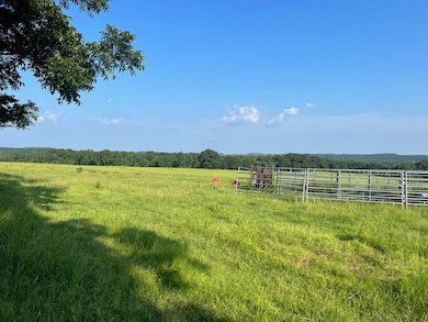 0 53 Hwy unit 24327, Clio, AL 36017 - photo 3