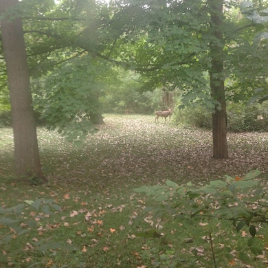 65 Lincolnshire Dr, Lincolnshire, IL 60069 - photo 3