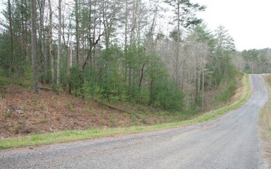 21 Roaring Forks Ln, Ellijay, GA 30540 - photo 4