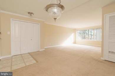 10570 Main St unit 424, Fairfax, VA 22030 - photo 2