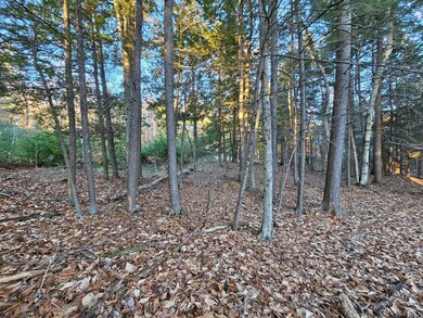 41-4 Tanner Way, Bridgton, ME 04009 - photo 6