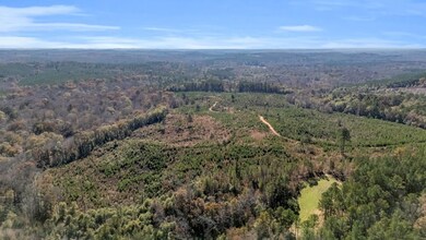 0000 Iron Bridge Rd, Sulligent, AL 35586 - photo 6