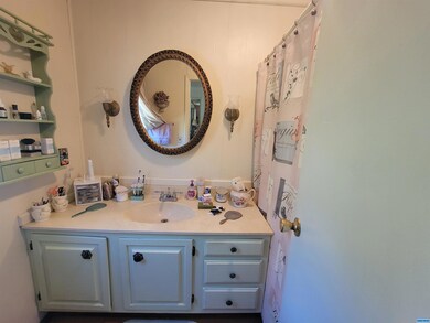 4901 Pinon Ln unit 1, Silver City, NM 88061 - photo 4