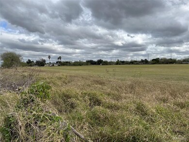 000 El Dora Rd, Donna, TX 78537 - photo 3