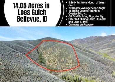 TBD Lees Gulch Rd, Bellevue, ID 83313 - photo 2