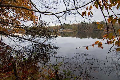 0 E Pine Lake Dr, West Point, GA 31833 - photo 2