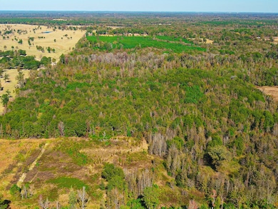 Aerial view of property's location