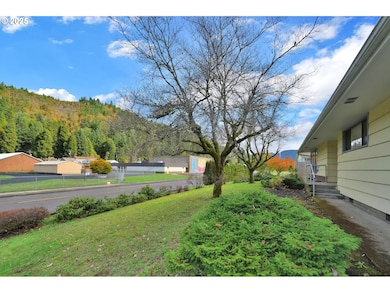 47960 W 1st St, Oakridge, OR 97463 - photo 6