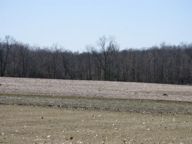 000 County Road 29, Auburn, IN 46706 - photo 3