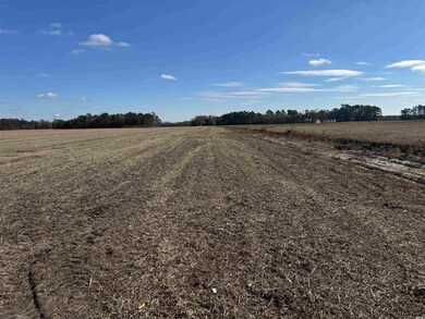 TBD Shelley Ln, Nichols, SC 29581 - photo 5