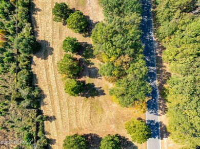 130 Cypress Point, Wallace, NC 28466 - photo 6