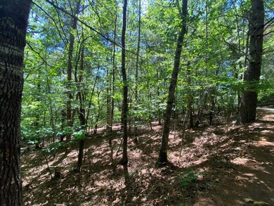 00 Ruby Cir, Franklin, NC 28734 - photo 5