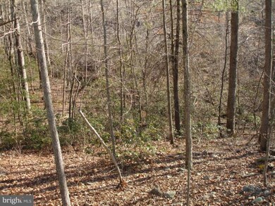 0 Curling Creek Ln unit 1003865754, Rixeyville, VA 22737 - photo 4