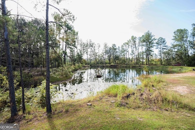 6821 Miller Bridge Rd, Hahira, GA 31632 - photo 3