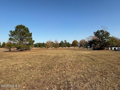 151 Pine Ridge Dr, Wallace, NC 28466 - photo 7