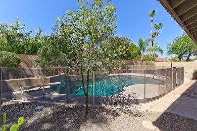 Sparkling pool