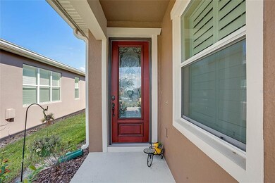 22020 Belgian Ct, Mount Dora, FL 32757 - photo 6