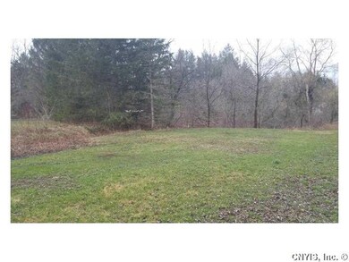Backyard. Property goes back to tree line. Creek i
